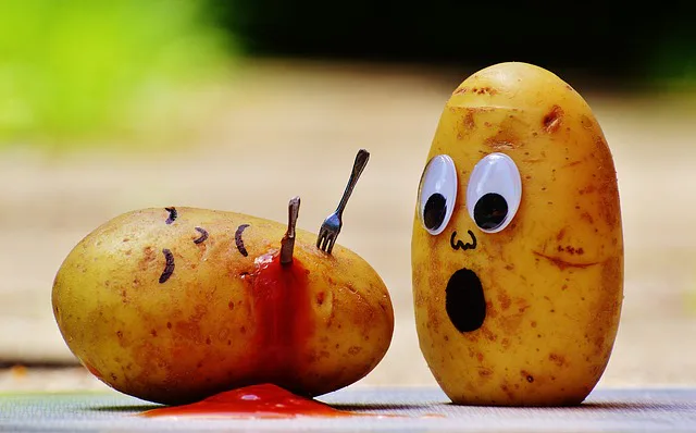 14 Things to Do with a Potato