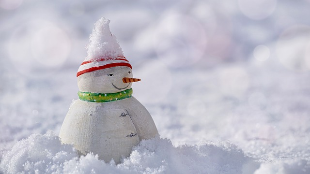 29 Cool Snow Day Ideas